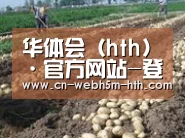 种植基地七(图1)