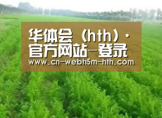 种植基地四